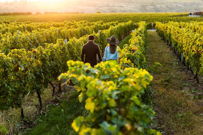 Couple exploring the magical vinyeards in the Douro Valley
