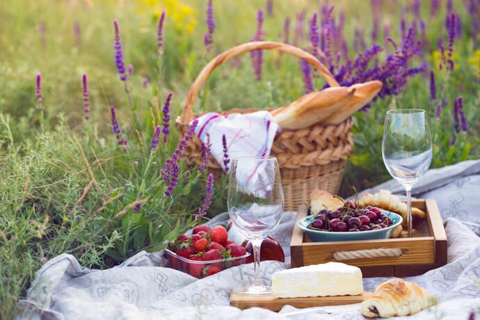 Picnic in lavender field in France with fruit and baguettes
