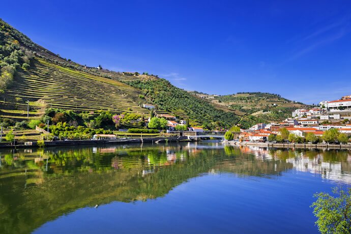 Vineyards along the Douro River near Pinhão, Portugal