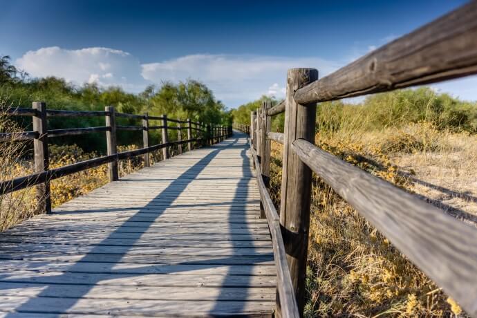 Enjoy the natural beauty of the Dunas de S. Jacinto Nature Reserve