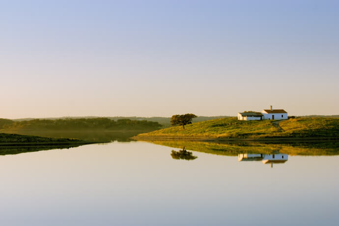 Historic Olive Presses and Mills 2