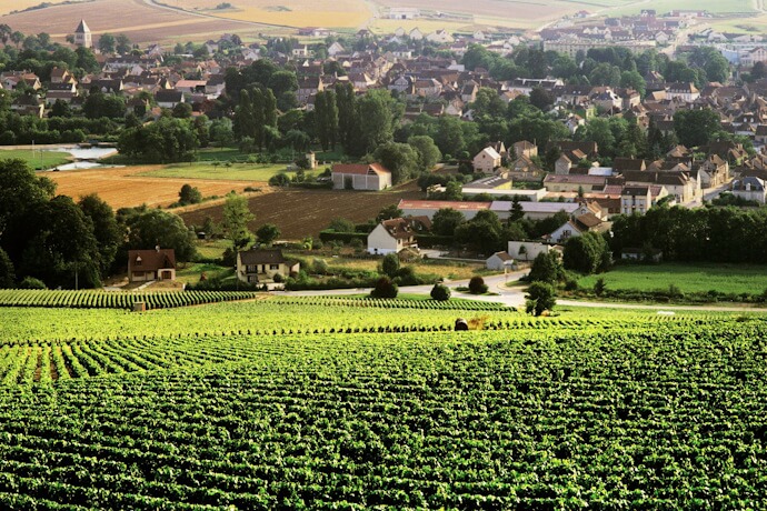 Chablis village and vineyards
