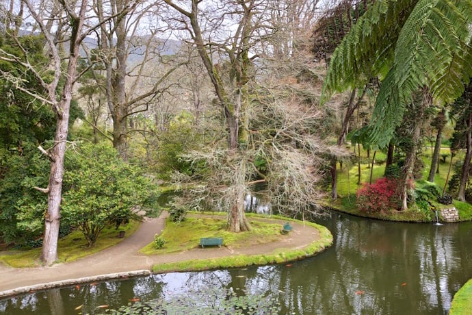 Surrender to Natures Embrace in Furnas