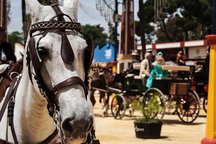 Horse-drawn carriages in a traditional Andalusian setting, Spain.