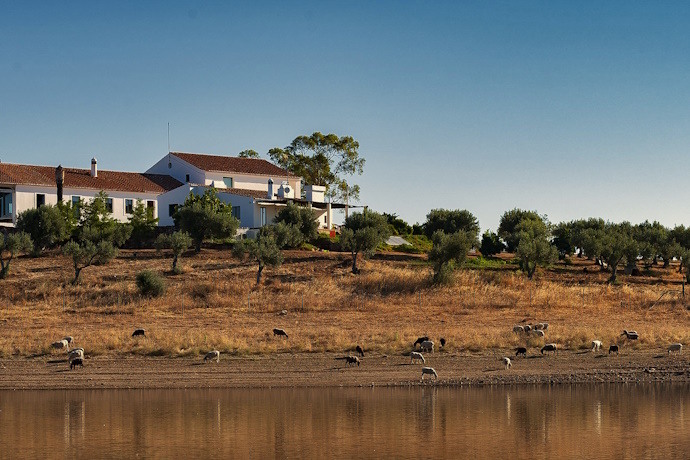 SUBS - Casa com ovelhas