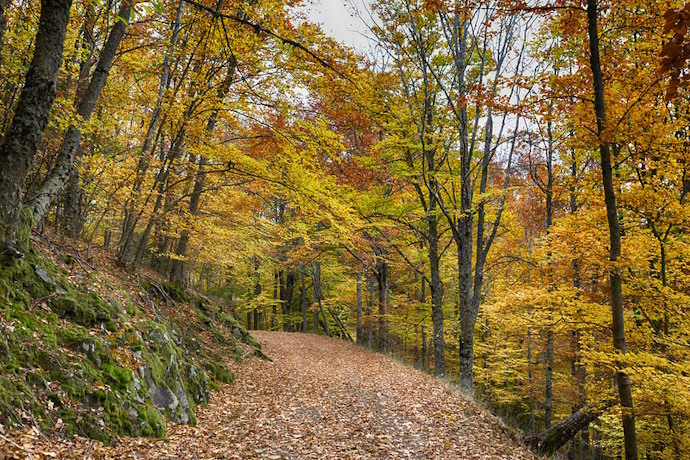 SUBS 7 - Serra da Estrela