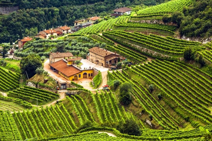 Valpolicella A sensory journey through vineyards and scenic beauty