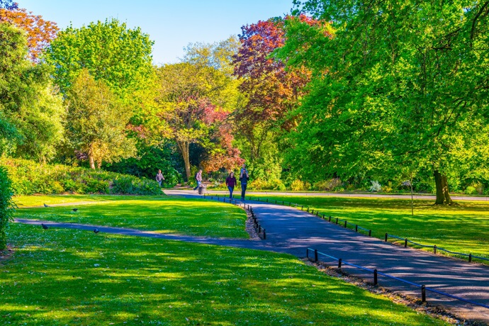 ree-lined pathway in Merrion Square Park, Dublin, with green lawns, colorful foliage, and people walking under bright sunshine.