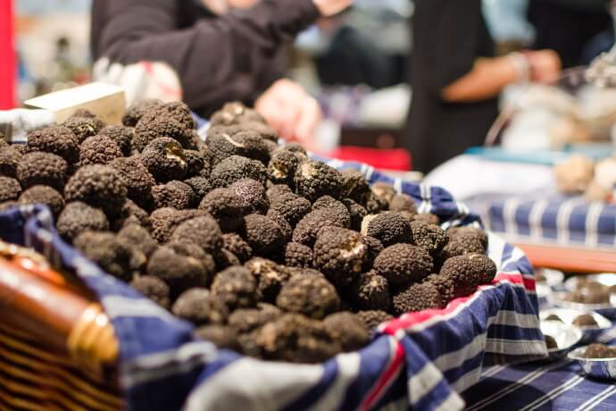 Truffle hunt in Alba - Truffles