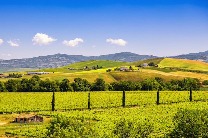 Rolling plains and vineyards in the Tuscan countryside on a sunny day