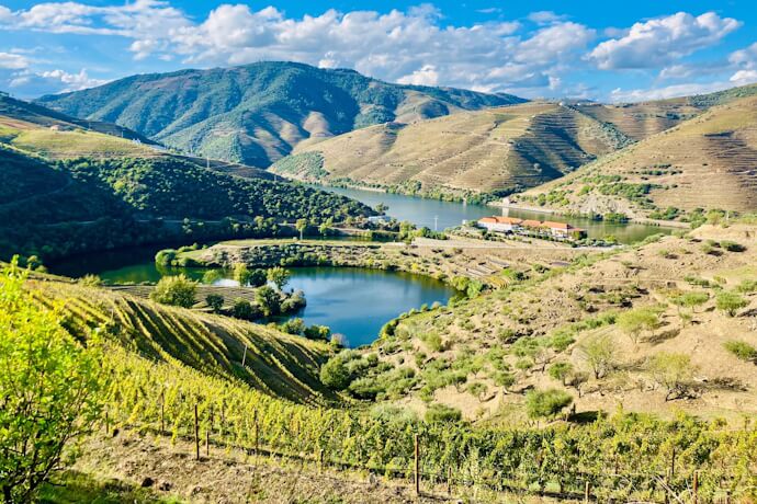 Rolling vineyard terraces embrace the winding Douro River, creating one of Portugal’s most scenic and celebrated wine regions.