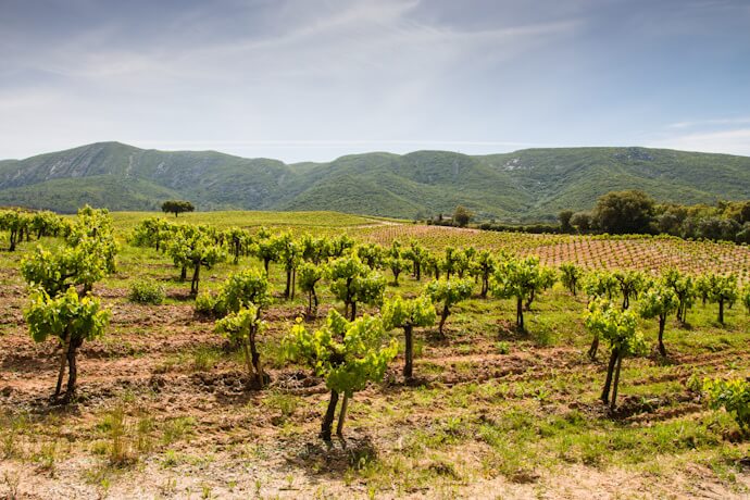 Into the Alentejo region