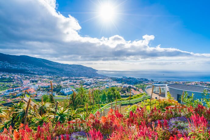 On Madeira, Portugal, a sunny viewpoint looks over the coastal city and the Atlantic, with vibrant flowers and tropical plants in the foreground.