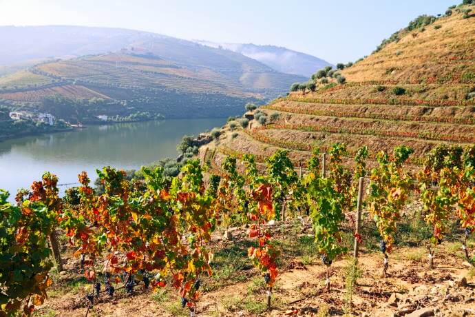 Douro Valley