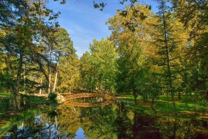 Bridge over garden lake in Vidago