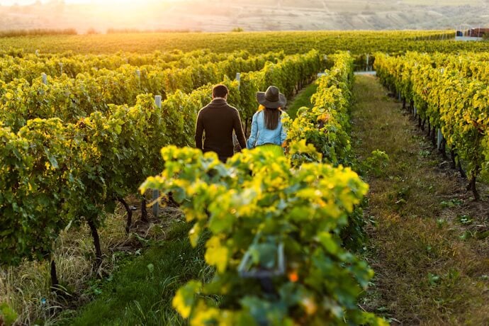 Walking in a vinyeard in the Douro Valley