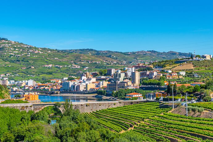 View of Douro Valley’s Vineyards and the town of Peso da Régua